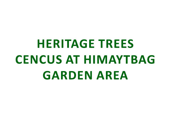 Heritage Trees cencus at Himaytbag garden area